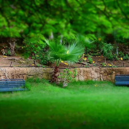 The Americas * Плая-де-лас-Америкас